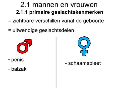 dikke mannen|Zichtbare geslachtsdelen van de man